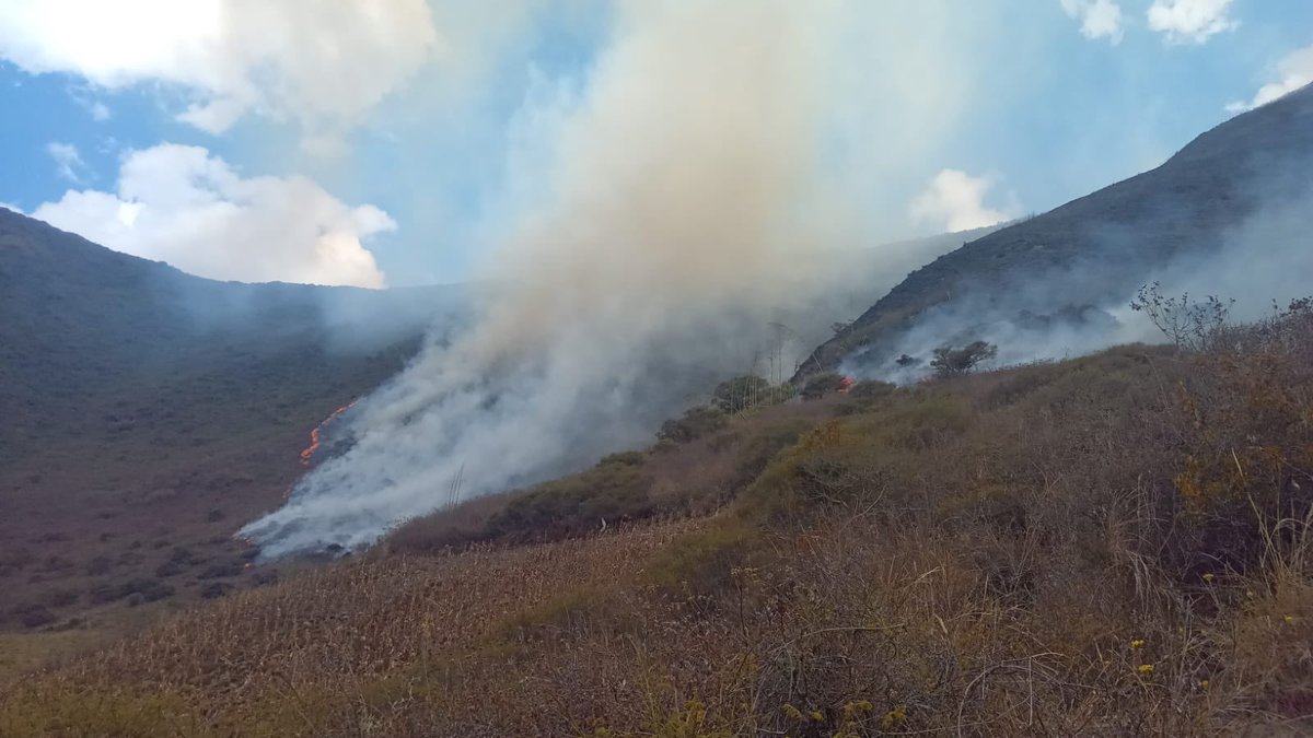 #ATENCIÓN 🔴 | Se registra un incendio forestal 🔥 en el Cerro Casitagua, sector Rayocucho. Los bomberos han desplazado 30 uniformados y 10 vehículos para controlar el fuego.