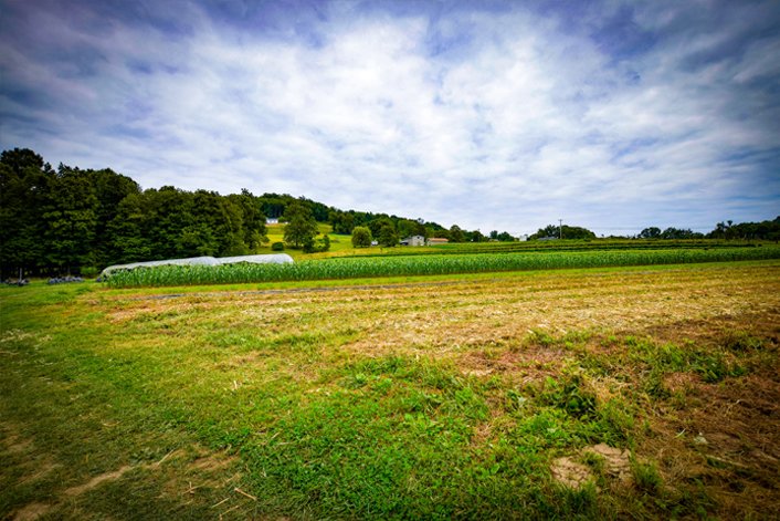 NRCS_WV's tweet photo. NRCS has established the fiscal year 2024 application batching dates for the Environmental Quality Incentives Program (EQIP), Conservation Stewardship Program (CSP), Agricultural Management Assistance Program (AMA), and the Agricultural Conservation Easement Program. https://t.co/sdOhd7OmGo