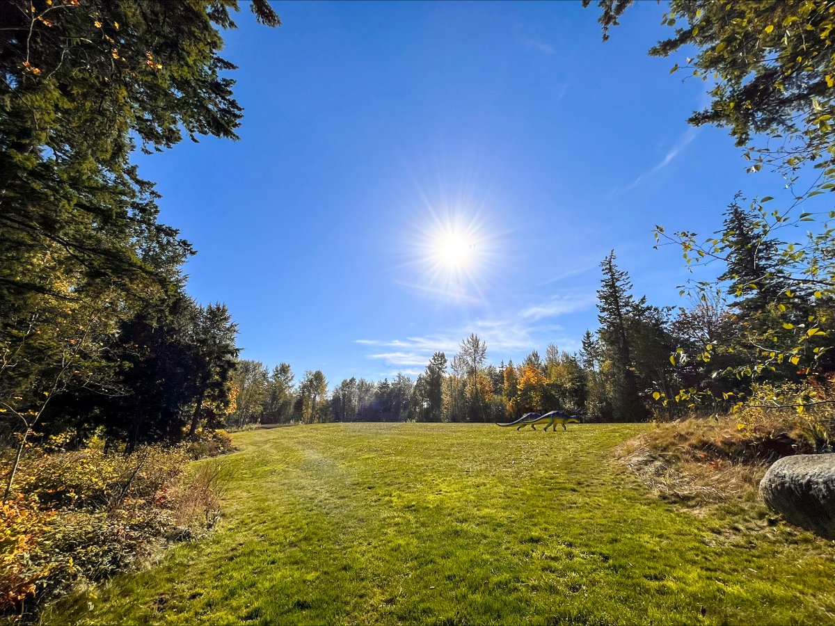 Bellingham Parks & Recreation tweet media