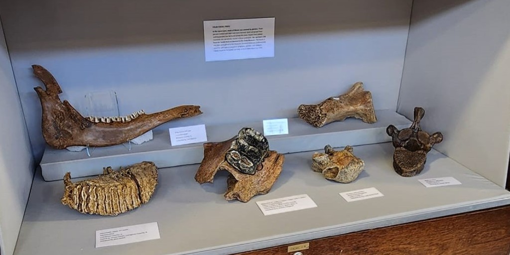 Illinois State Museum tweet media