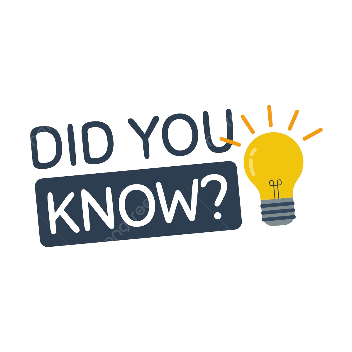 tobexrail⚡ tweet media