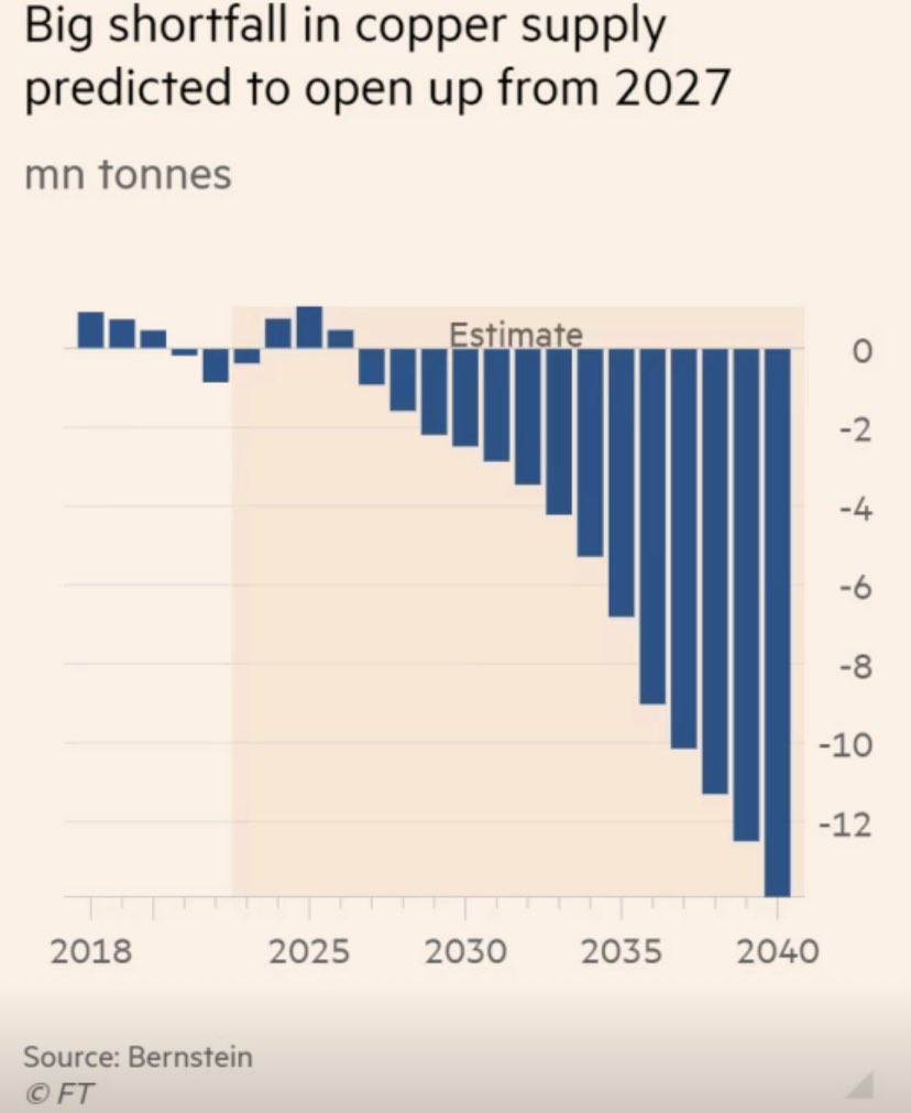 Margot Rubin tweet media