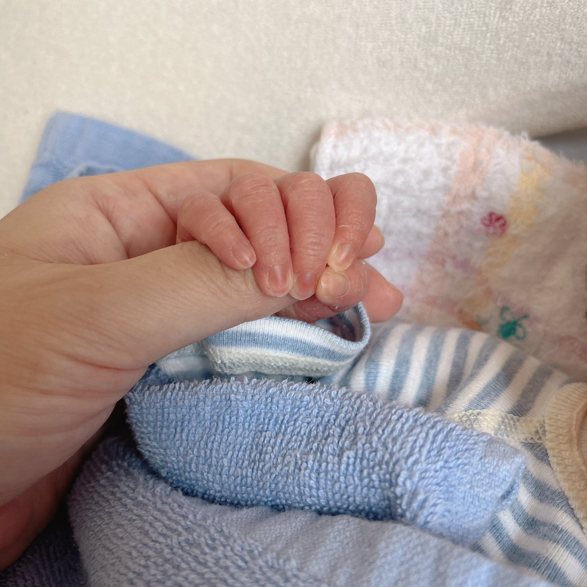 2023/10/3 
二男🐇生まれました🌼
赤ちゃん見てると上の子（5）の大きさたるや🦕🤣

メンズにおきゃわな何かを作りたい🐺🫧また絵を描いたりでこのアカも動かしたい…🌈
