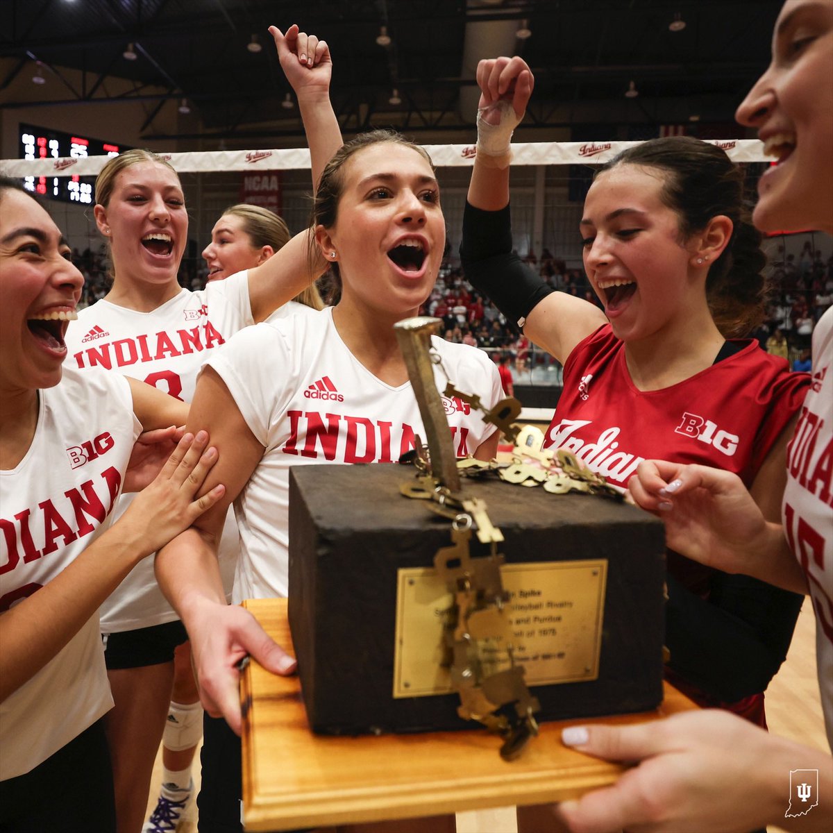 NCAA Women's Volleyball tweet media