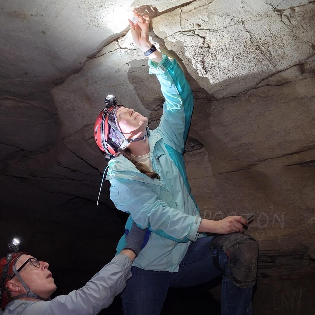 What better way to celebrate #NationalFossilDay than with an ancient new science species? Mammoth Cave National Park is excited to announce the discovery of fossils belonging to Strigilodus tollesonae, an extinct type of petalodont (petaltoothed) shark related to modern ratfish.