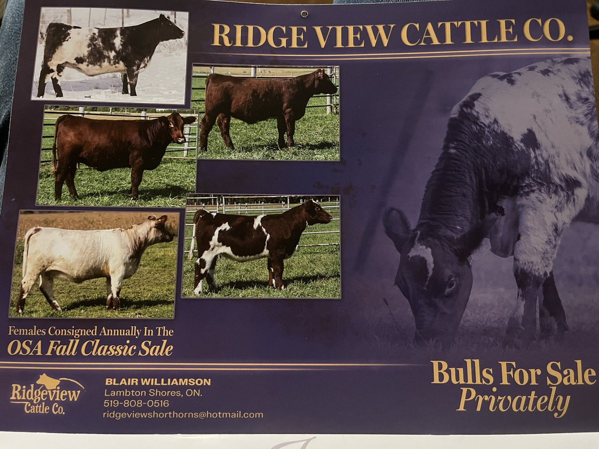 Stacey Angus tweet media