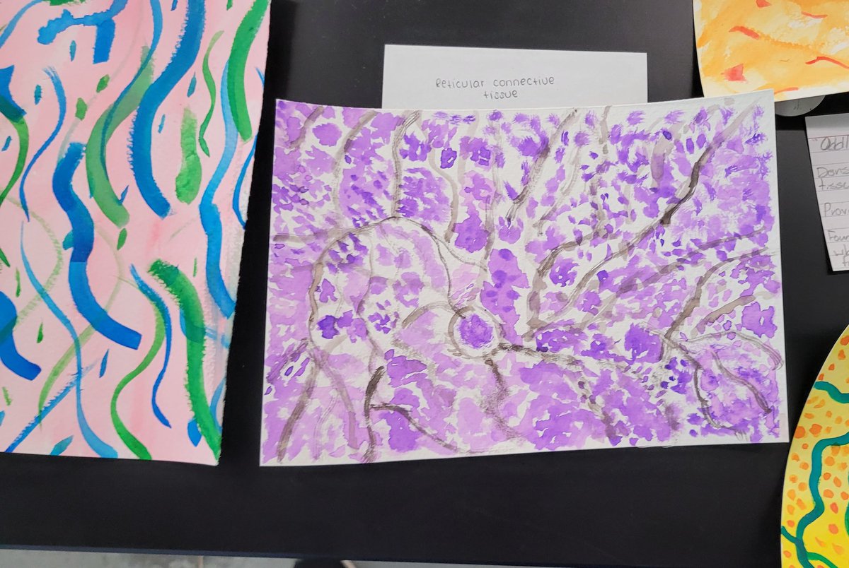 My Anatomy students used watercolors to paint connective tissues today. They have been practicing modeling of histology images and this was a cool twist to it! They had to also create a "museum tag" that had information about the tissues they painted. #PCR3Proud #STEAM