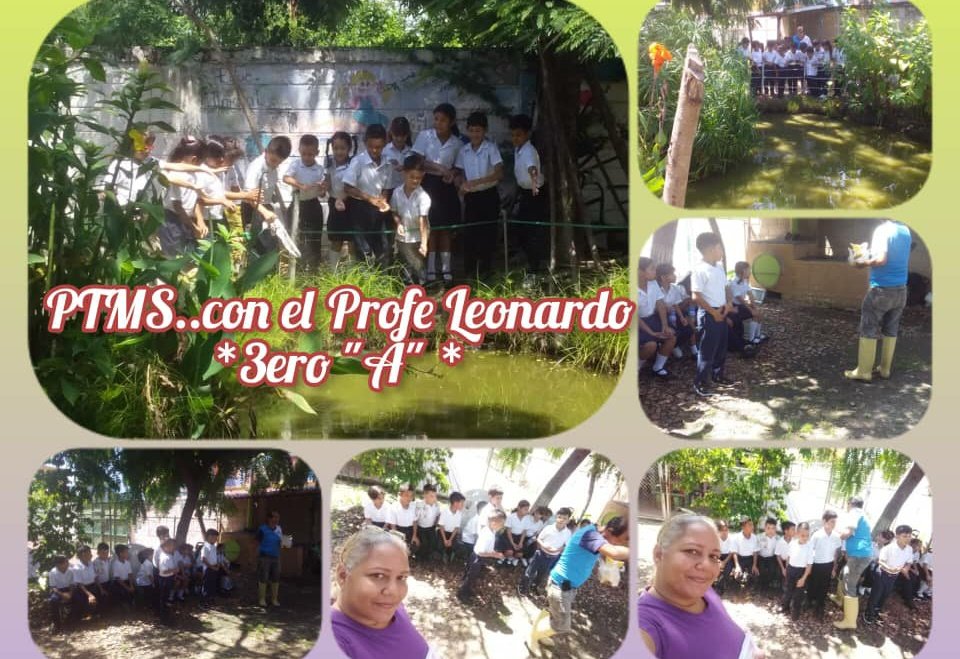 🇻🇪 #11Oct PTMS: Nuest@s Estudiantes realizan sus Actividades pedagógicas Conmemorando el Día de la Resistencia Indígena. Con Amor y Alegría ✌️ 
🌴🙎🏾‍♀️Viva la Patria Grande!🙎🏾‍♂️🏹

<a href="/NicolasMaduro/">Nicolás Maduro</a> <a href="/_LaAvanzadora/">Yelitze Santaella</a> <a href="/rafaellacava10/">Rafael Lacava</a> <a href="/xiomaluna/">XIOMARA LUNA PROFESIONALES Y TÉCNICOS</a>