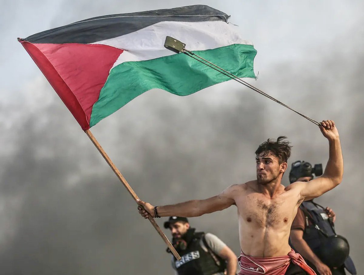 _bilaire's tweet photo. let’s build a #FreePalestine network 

retweet / follow / follow back 

so we stand united in solidarity with the Palestinian people and their righteous struggle against apartheid https://t.co/EEC3i5uoFh