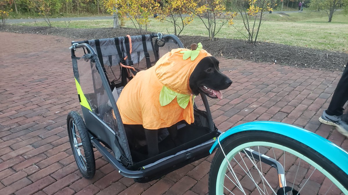 Join BPAC for our annual Halloween bike ride in Del Ray! Sunday, October 29 at 10 a.m. or 6 p.m. Register for the daytime ride at eventbrite.com/e/halloween-bi… or register for the evening ride at eventbrite.com/e/halloween-bi….