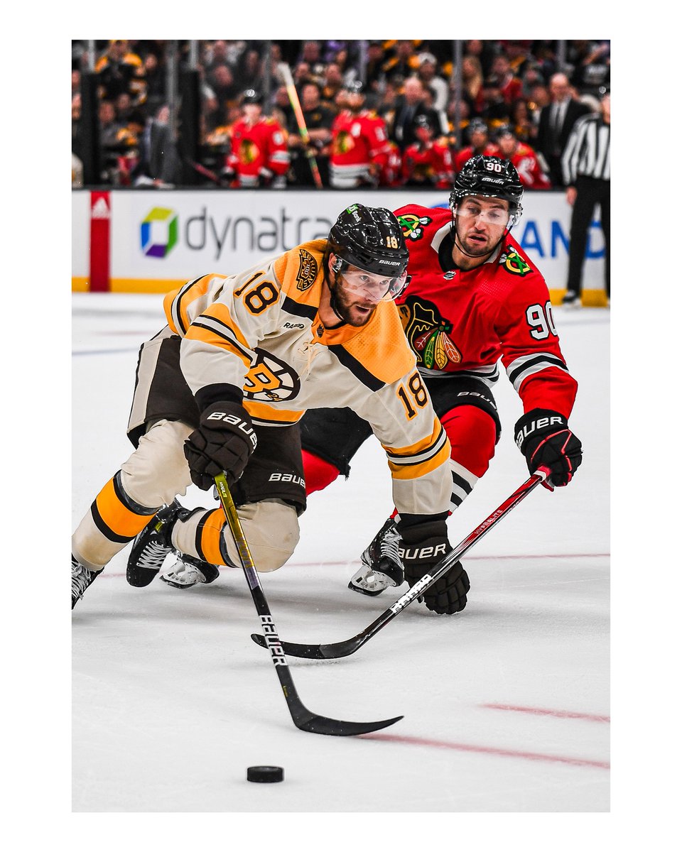 Mark Majewski tweet media