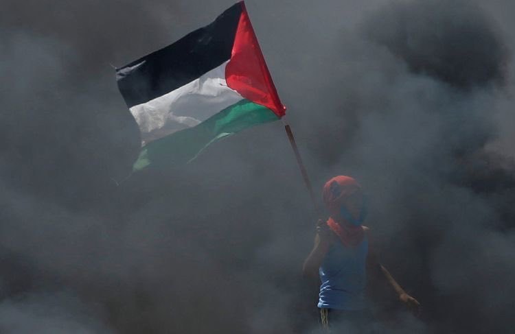 Saci 🇵🇸🇸🇾🇸🇩🇾🇪 tweet media