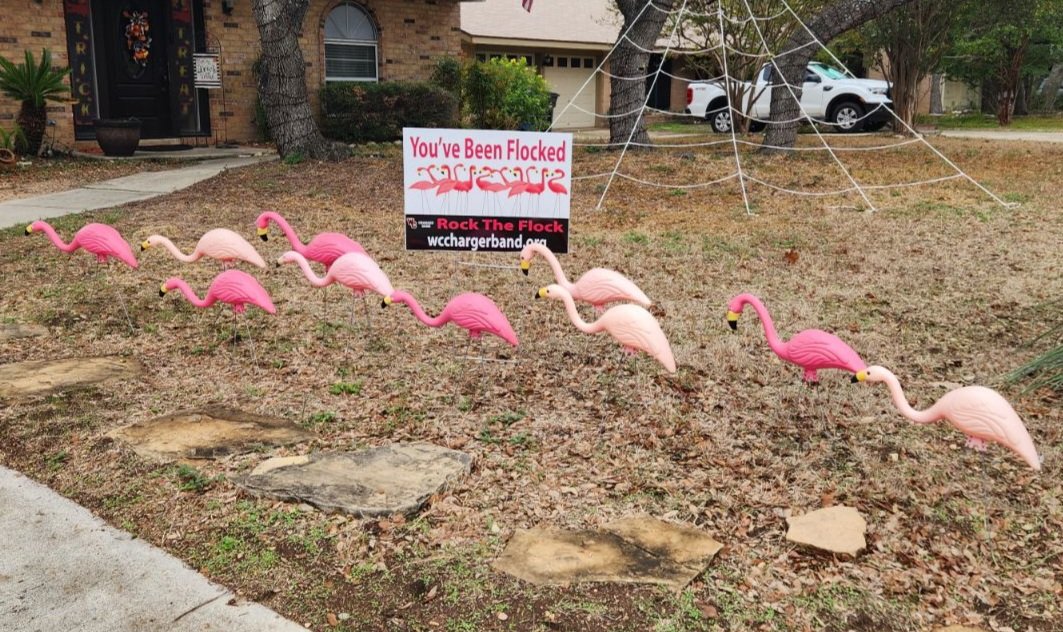 Chad Belford (@chadbelfordits) on Twitter photo Thanks <a href="/churchill_band/">Winston Churchill Charger Band</a> for an ingenious fundraising idea and creative lawn ornament. I wonder who got aus...and who we should get? 😁 If you want to "flock" someone while supporting a good cause, go to wcchargerband.org #wcbandrocktheflock #ivebeenflocked Thanks <a href="/churchill_band/">Winston Churchill Charger Band</a> for an ingenious fundraising idea and creative lawn ornament. I wonder who got aus...and who we should get? 😁 If you want to "flock" someone while supporting a good cause, go to wcchargerband.org #wcbandrocktheflock #ivebeenflocked