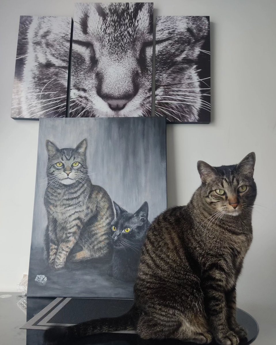 David__Madman's tweet photo. Un encargo que me hicieron con unos peludos como modelos. 😸😼
Inmortaliza tus amigos peludos en un espectacular cuadro realizado con acrílicos. 🖌️🎨
#Acrílicos #mascotas #cuadrosdecorativos #DavidArtworks https://t.co/X9OfUD9LqE