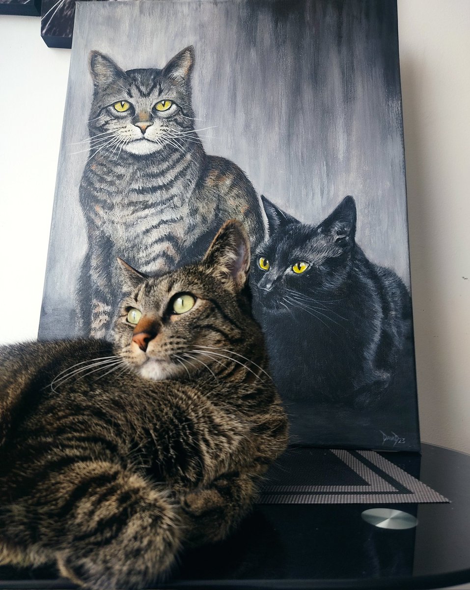 David__Madman's tweet photo. Un encargo que me hicieron con unos peludos como modelos. 😸😼
Inmortaliza tus amigos peludos en un espectacular cuadro realizado con acrílicos. 🖌️🎨
#Acrílicos #mascotas #cuadrosdecorativos #DavidArtworks https://t.co/X9OfUD9LqE
