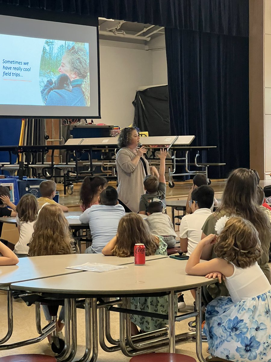 BESpectacular tweet media