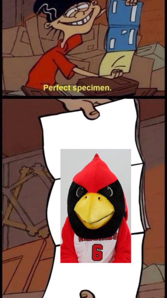 Happy Homecoming Redbirds! 🏈