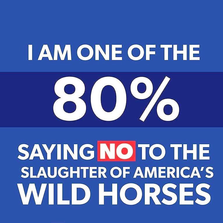 meliorist59's tweet photo. @Joni_Looking1 @PRRHorseRescue @POTUS
@SecDebHaaland
@CaptMarkKelly
ARE YOU LISTENING TO US?!?
#StopTheRoundupsNOW
#StopTheSlaughterNOW
#ResistanceUnited
#VetsResist https://t.co/iwgSQppQQ7