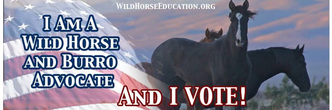 meliorist59's tweet photo. @Joni_Looking1 @PRRHorseRescue @POTUS
@SecDebHaaland
@CaptMarkKelly
ARE YOU LISTENING TO US?!?
#StopTheRoundupsNOW
#StopTheSlaughterNOW
#ResistanceUnited
#VetsResist https://t.co/iwgSQppQQ7