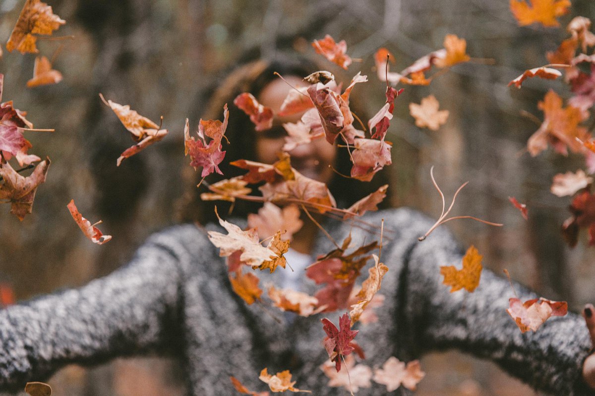 faniskoengage's tweet photo. Planning a road trip to go leaf peeping? These are The Best Places to See Explosive Fall Foliage Outside of New England: https://t.co/Kn4JOmi1NR
https://t.co/72RMaQbULT
#NFTs #Metaverse #Meta #MetaverseGaming #Sports #Fanisko #DigitalGaming #SportsTech #MobileApp #FantasyGa... https://t.co/7OniKIny2Y
