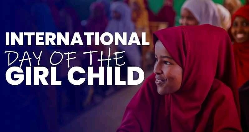 Somali Women Health Professionals council(SOWHEP) tweet media