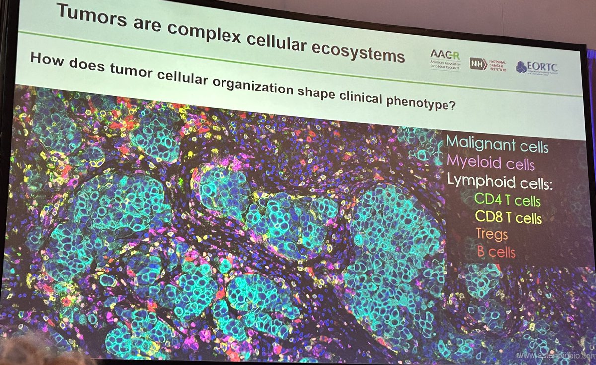 Jia (Jenny) Liu MD PhD tweet media