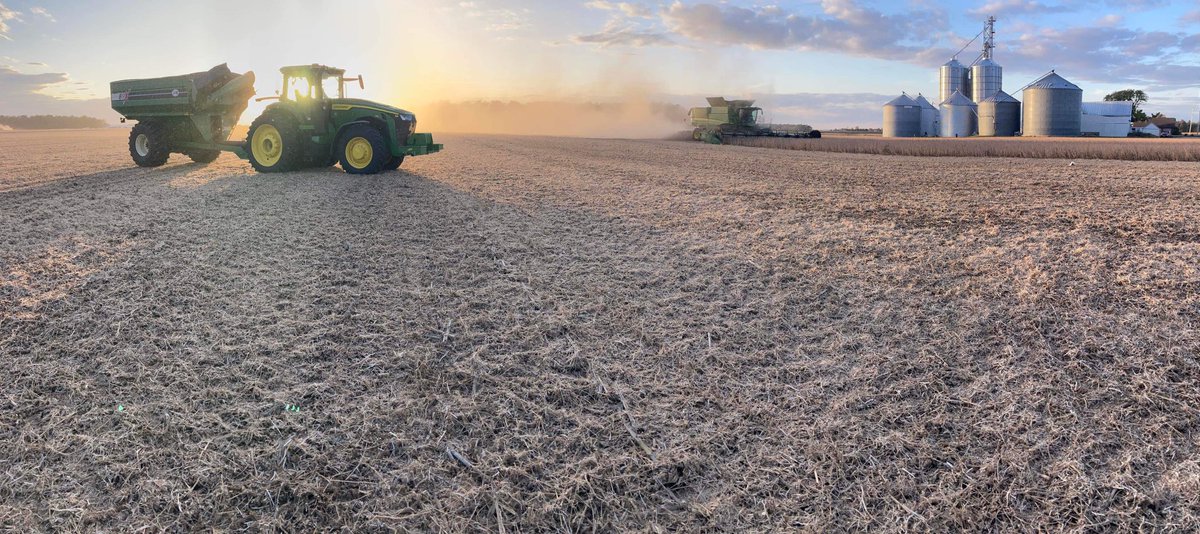 CBowlingAg's tweet photo. @GldnHarvest GH3582E3 continue to be a flagship variety here in the Buckeye 🌰 State with their proven performance and consistency across our variable soils. This genetic offering paired with Cruisermaxx APX + Saltro is a winning combination! 

📸 Nicholas K
📍Shelby Co. Ohio https://t.co/VKpe1jkD5I