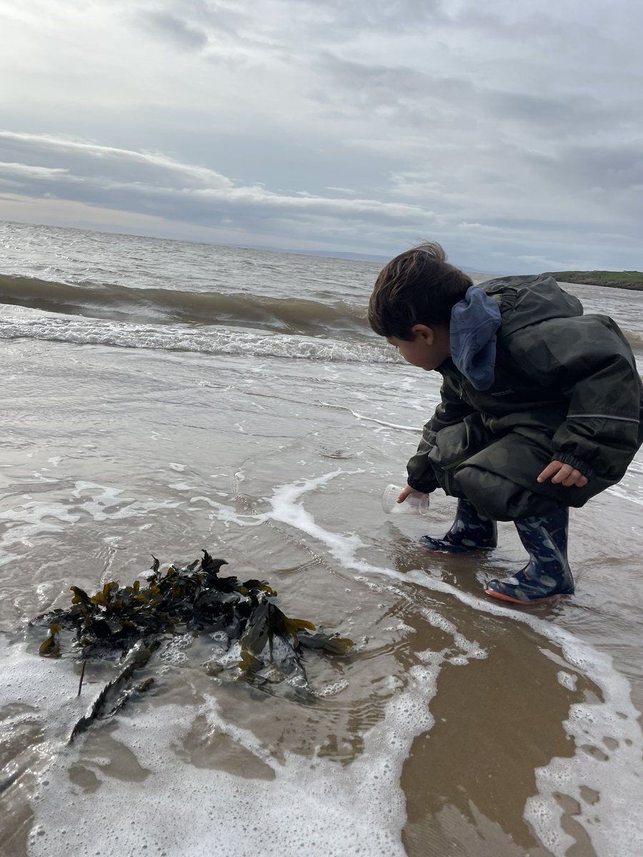 AnnamariaBevan's tweet photo. Beach school... where the coast is used as a platform for a whole new learning experience, where children develop a natural sense of curiosity, where they investigate, explore and problem solve and where a joyful approach to learning so evident! Beach school @the_ECCC https://t.co/VPFvBB8YHm