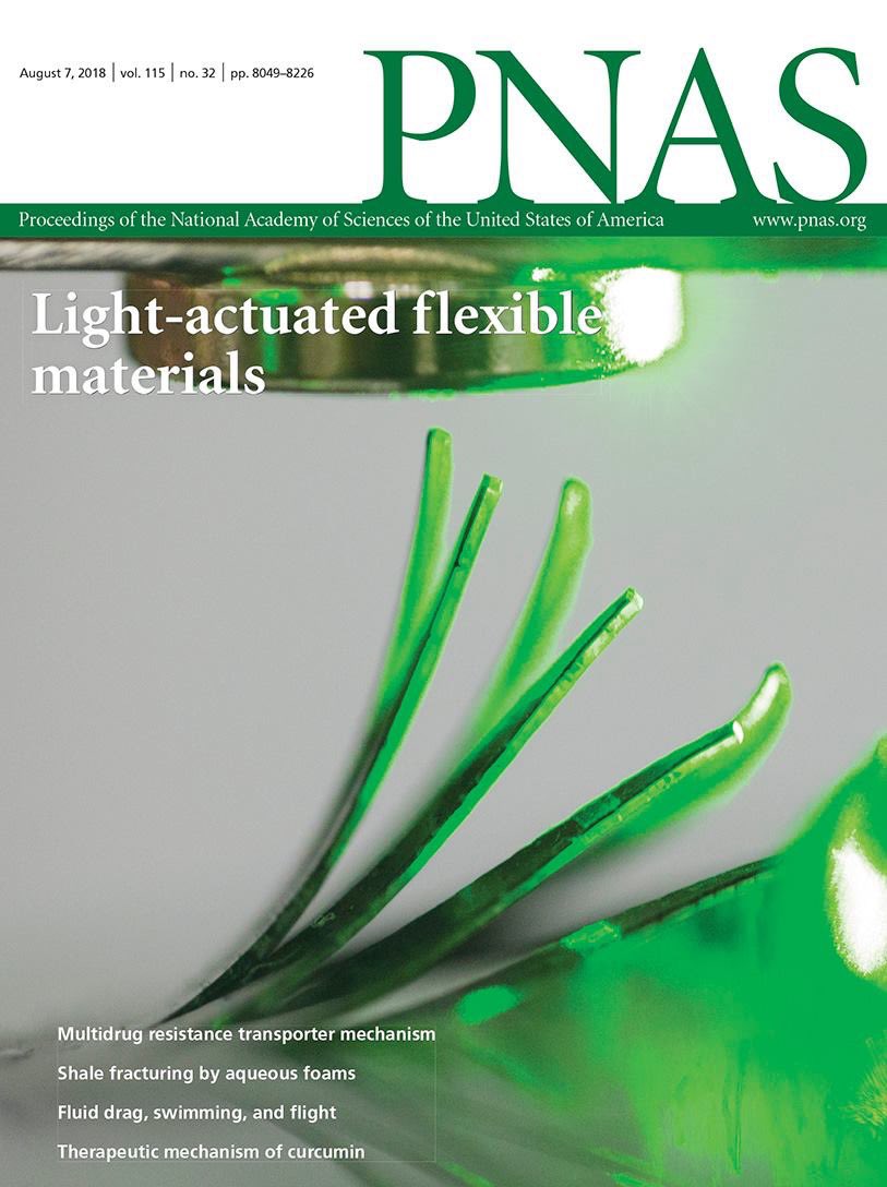 I couldn’t  help but notice the resemblance between this photo of plant tropism and my fully-synthetic-magnetic material!