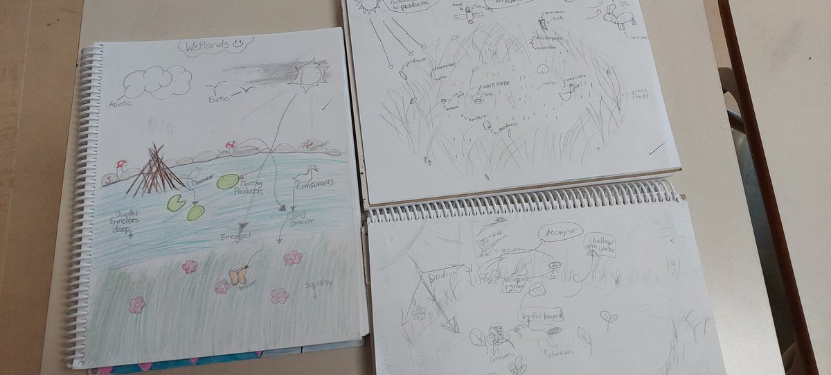 BPSHawks5's tweet photo. Grade 5s are learning about what types of organisms make a healthy, balanced wetlands ecosystem. Ask us about producers, consumers, and decomposers.

#bpshawks5 #bpshawkslearn #weareCBE https://t.co/71pq4ELZ8P