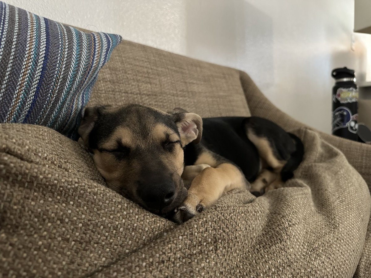 trevor appreciation post