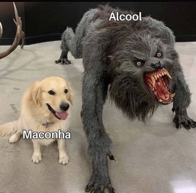 ihlombrei's tweet photo. https://t.co/AJ3uh3kTIt