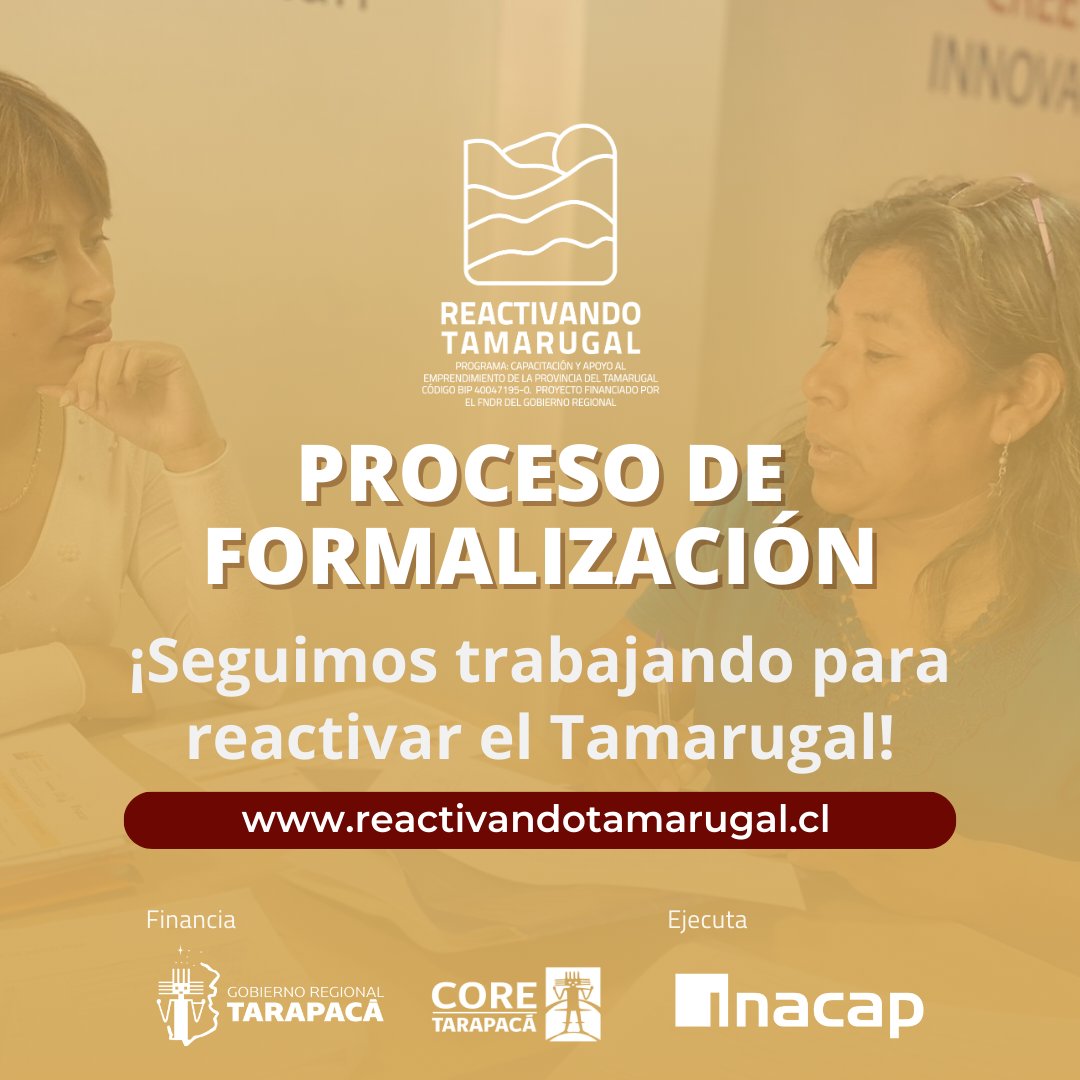RTamarugal's tweet photo. #ProvinciaDelTamarugal
En proceso de formalización. Programa financiado por el Gobierno regional de #Tarapacá, para impulsar la reactivación económica.

@Gore_Tarapaca @CoredeTarapaca @Inacapinos
@INACAPiquique @MunicipioPica @IM_HUARA
@pozoalmontemuni @Muni_Camina @ColchaneChile https://t.co/S0UIY12BAf