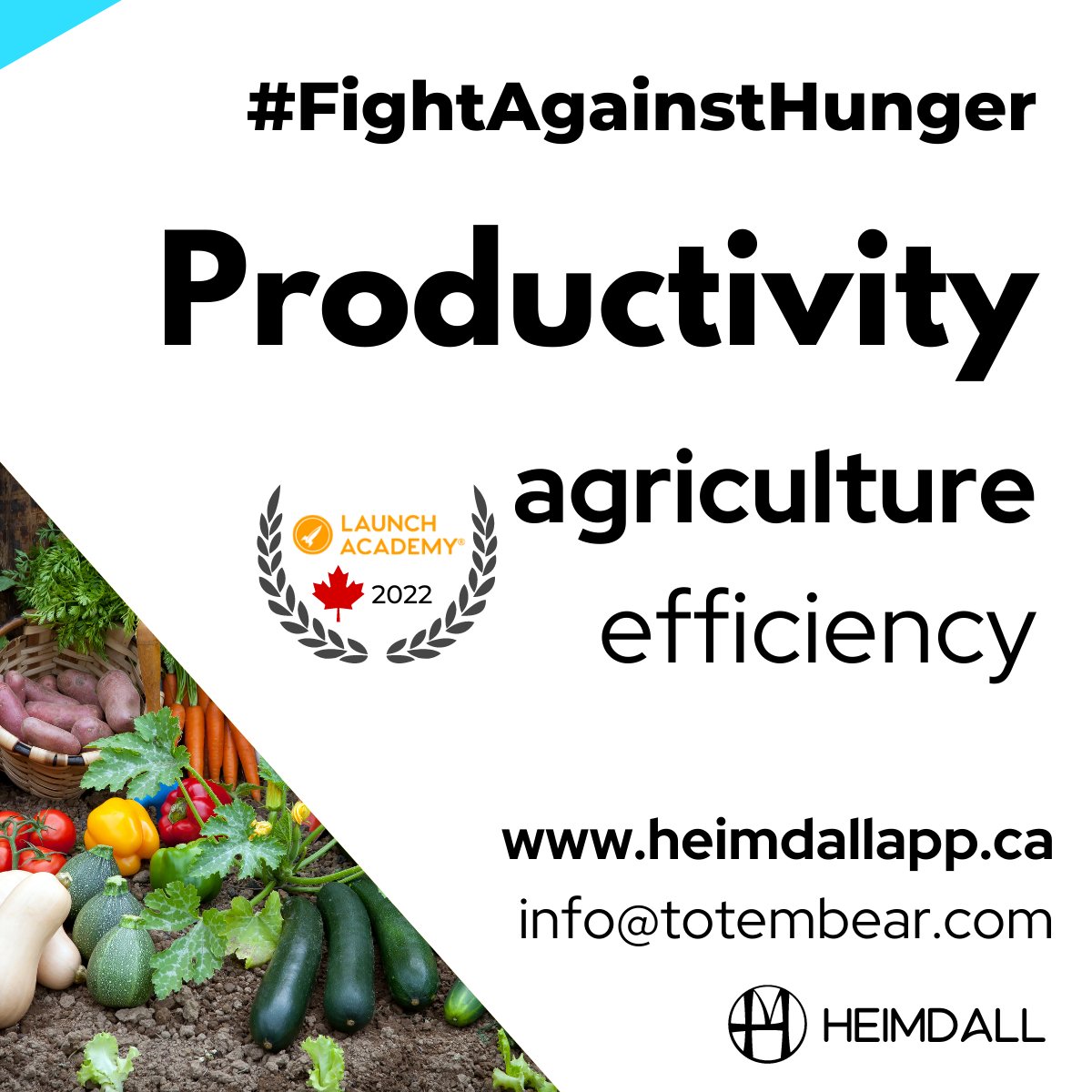 Heimdall's technology can increase productivity and efficiency in agriculture, helping fight world hunger by providing more nutritious and affordable food for communities in need 

#Heimdall #agriculture #FightAgainstHunger #TotemBear #LaunchAcademyHQ #Canada #Vancouver