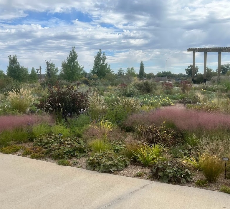 plantselect's tweet photo. Check out these beautiful UNDAUNTED® Ruby Muhly and UNDAUTNED® Alpine Plume Grasses.
#muhlenbergia #muhlygrass #calamagrostis #alpineplumegrass #ornamentalgrasses #zone5gardening #gardening #gardenlife #rockymountainplants #droughttolerantplants #waterwiseplants #plantselect https://t.co/LnhBX0yZkZ