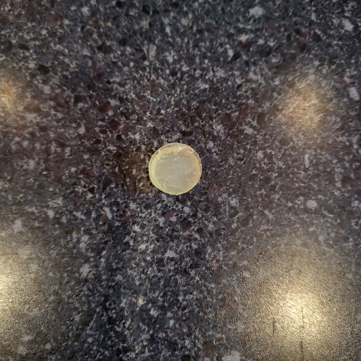 Daniel 🇺🇲 tweet media