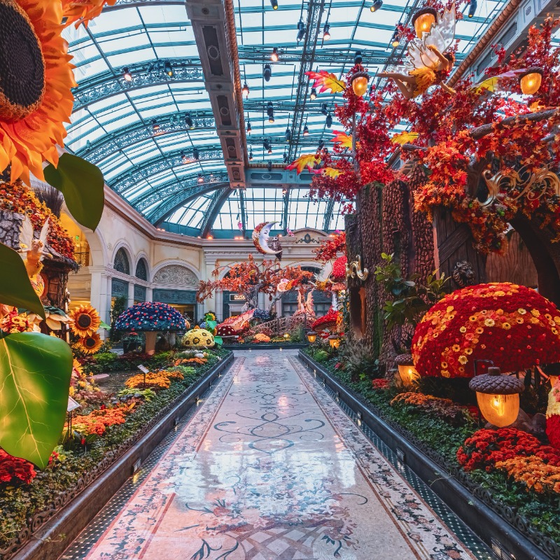Bellagio's tweet photo. Enter a realm where elegance and enchantment intertwine.