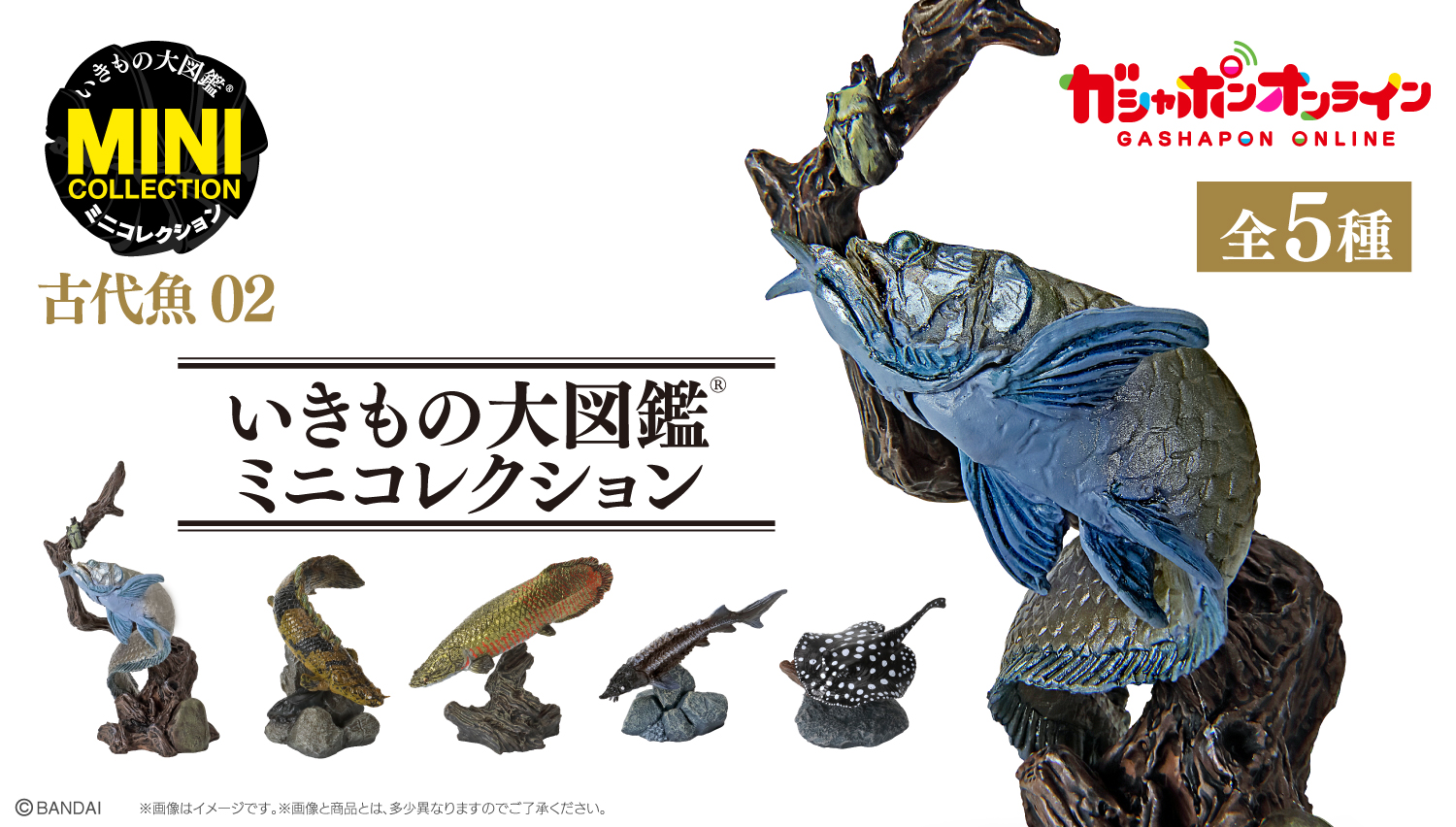 ケーキさん専用 バンダイ いきもの大図鑑 古代魚　全種コンプリートセット 公式】バンダイ ガシャポン on X: 