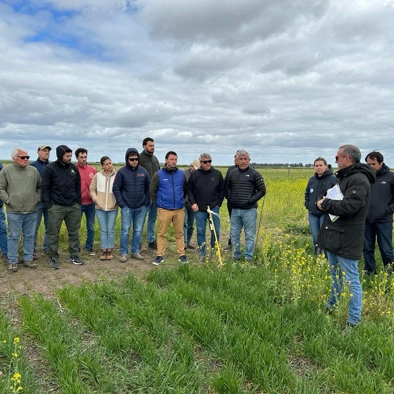 SaBioterra's tweet photo. Recorrida de ensayos y lanzamiento del nuevo herbicida de Bayer: Mateno Plus🌾 https://t.co/2FTFsVcwmE