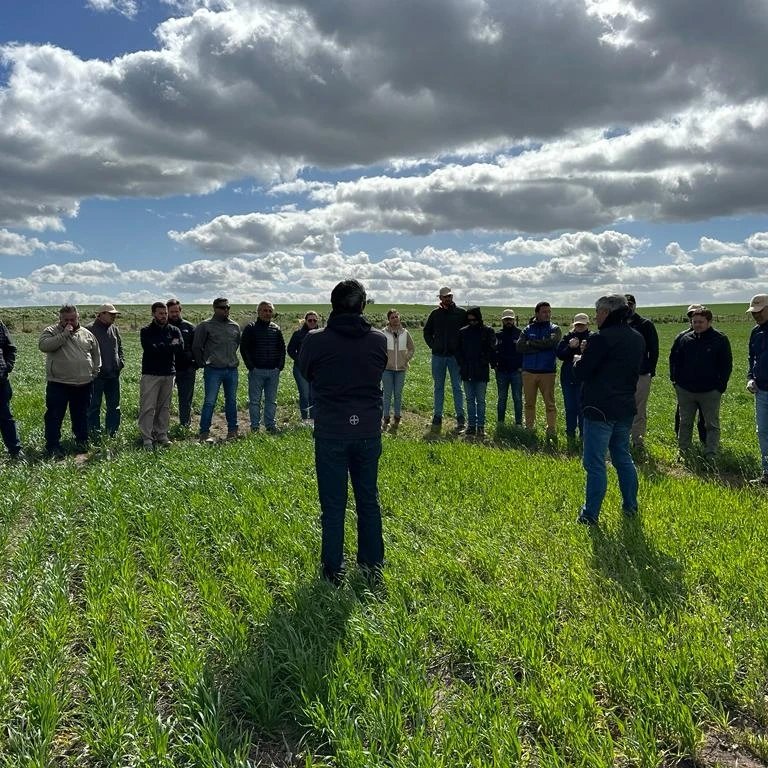 SaBioterra's tweet photo. Recorrida de ensayos y lanzamiento del nuevo herbicida de Bayer: Mateno Plus🌾 https://t.co/2FTFsVcwmE