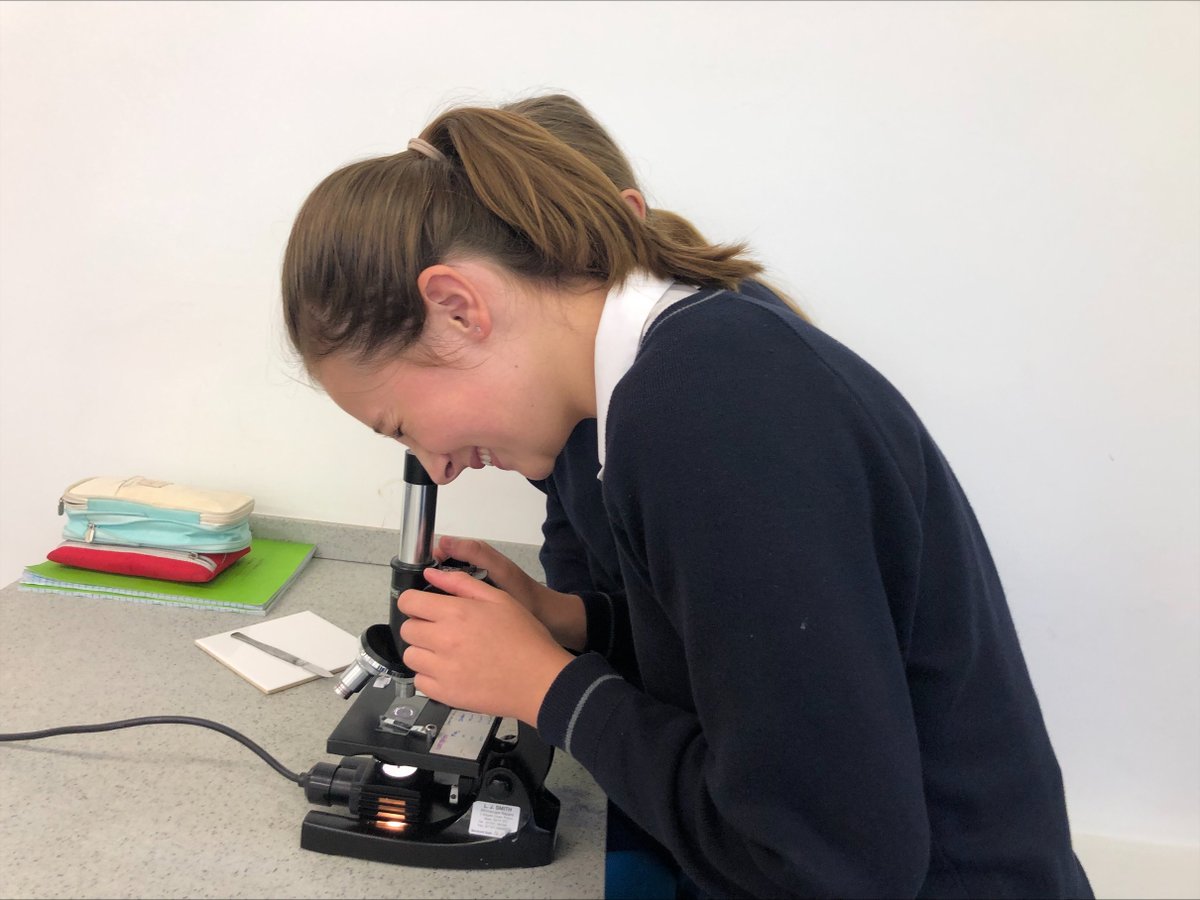 StMarysScienceD's tweet photo. Year 9 have been looking at cheek and onion cells under the microscope, as they start their GCSE Biology course #sciencepracticals #scienceinaction #GCSEBiology https://t.co/LH0jg2SXpE