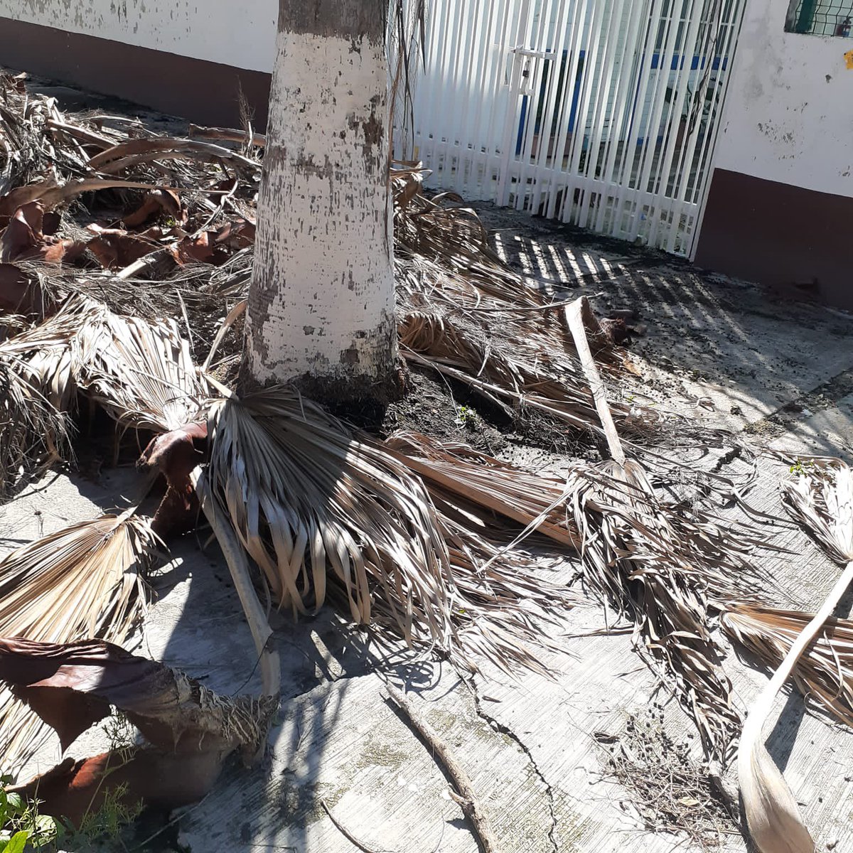 AnaValencia_M's tweet photo. Como es posible que indiquen que hoy se trabaja en preescolar vespertino y las escuelas se encuentren así? https://t.co/hQk423QdO6