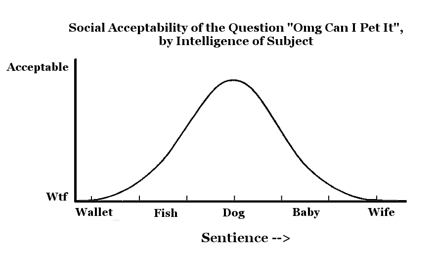 Sam O'Nella tweet media
