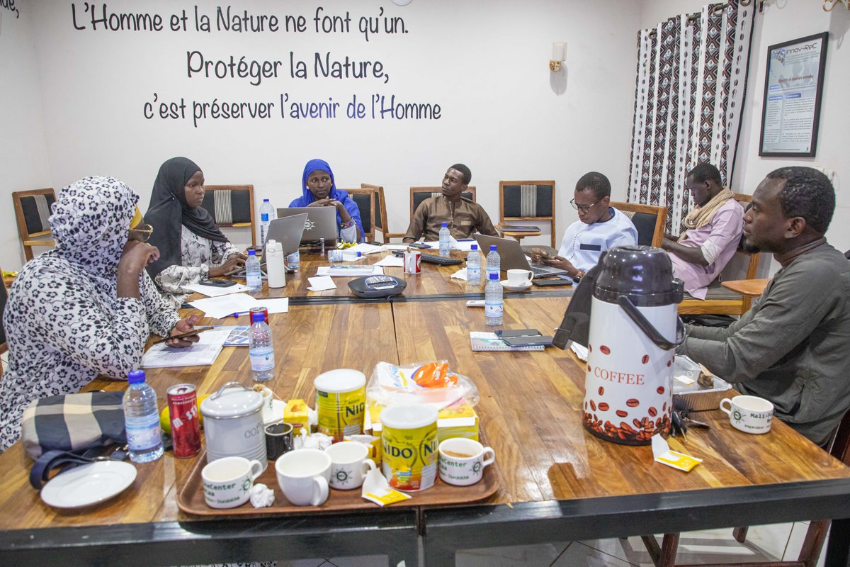 Le week-end passé j'ai participé à l'atelier d'organisation et de structuration du projet 'EcoGenesis' à l'ONG Mali-Folkecenter Nyetaa.
Le  projet 'EcoGenisis' consiste à créer, structurer et développer un  nouvel écosystème à travers des programmes de renforcement de capacité