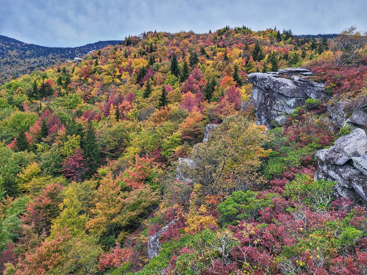 Hike East Tennessee tweet media