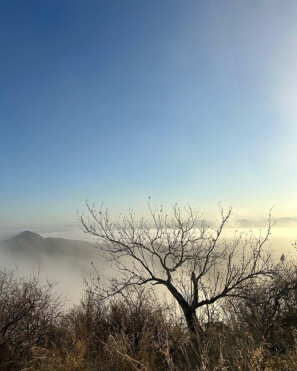 paujuvera's tweet photo. @climahillo Desde la cima del cerro del bachoco https://t.co/f4pU3U543p