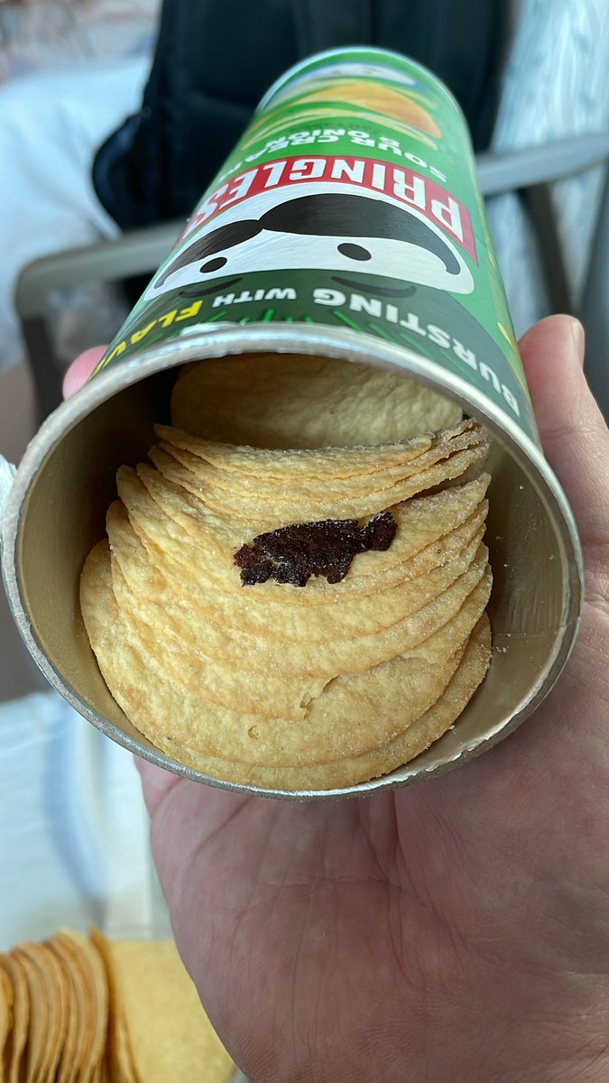 squatchin_it's tweet image. Yoooo @Pringles can I get my money back for this? I have no idea what this is but it looks disgusting🤮🤮🤮