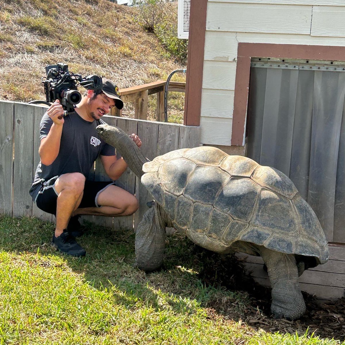 YOLO_TX's tweet photo. 🐧 Ready for their close ups 🐢 

Get up close &amp; personal with all sorts of marine animals at @SeaWorldTexas 📸 
- Go inside the penguin habitat 🐧
- Swim with the beluga whales &amp; dolphins 🐬 
- See the killer whales up close 🐳 
- Feed the giant tortoises 🐢 https://t.co/EiPLpoHTr1