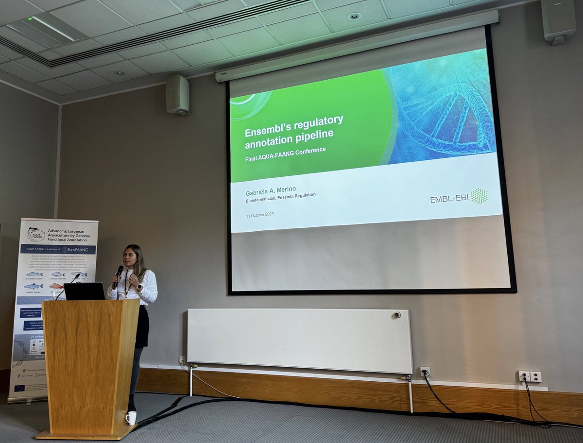 Incredible day today sharing the latest improvements of our <a href="/ensembl/">Ensembl</a> regulation pipelines and the new regulatory annotations we produced for several fishes, listening amazing talks from our partners and enjoying very enriching discussions at the <a href="/AQUA_FAANG/">AQUA-FAANG</a> Final Conference