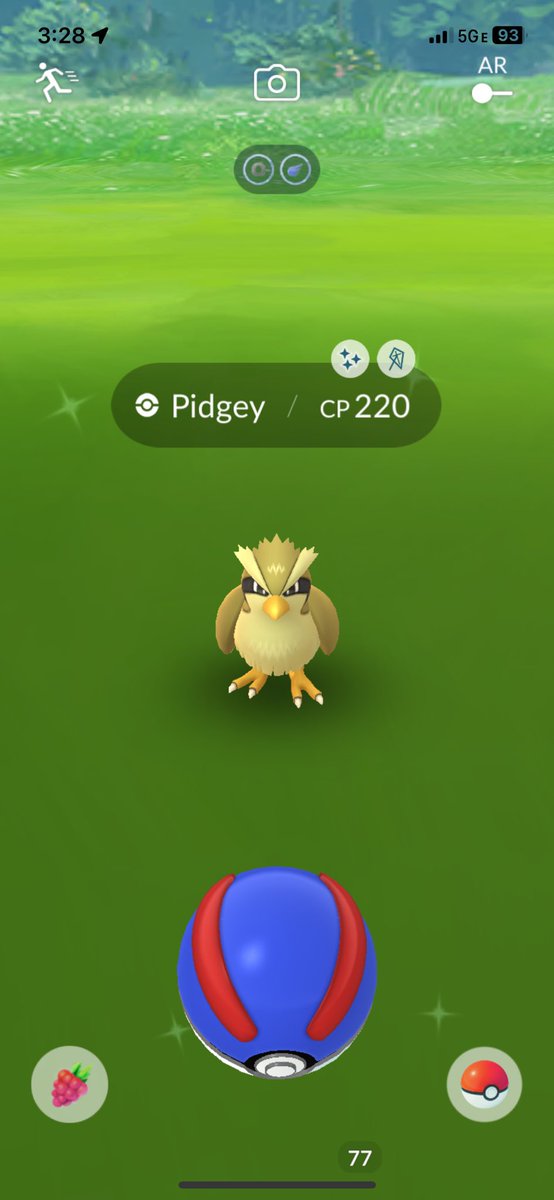 Ktee_baybee's tweet photo. Found this beaut at @IsletaCasino today! My first ✨Shiny Pidgey✨ FiNALLY!!! ☺️☺️
#PokemonGo #ShinyPokemon #ShinyCheck #ShinyHunter #MyCatch https://t.co/rkN3rTiFQj